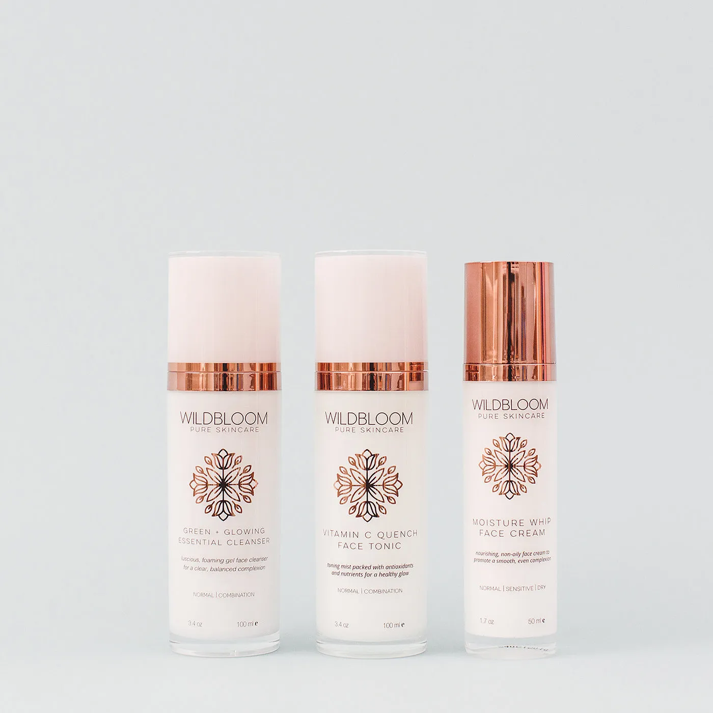 Antioxidant Skin Care Set