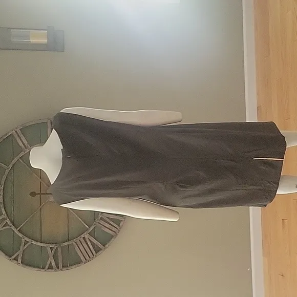 Banana Republic Factory Vegan Suede Knee Length Dress