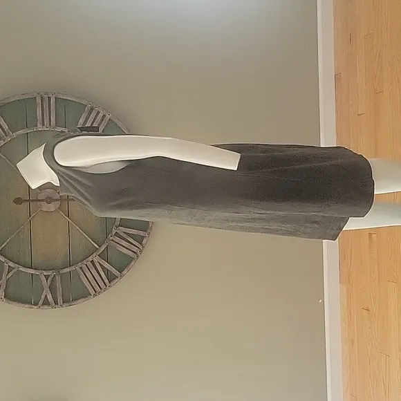 Banana Republic Factory Vegan Suede Knee Length Dress