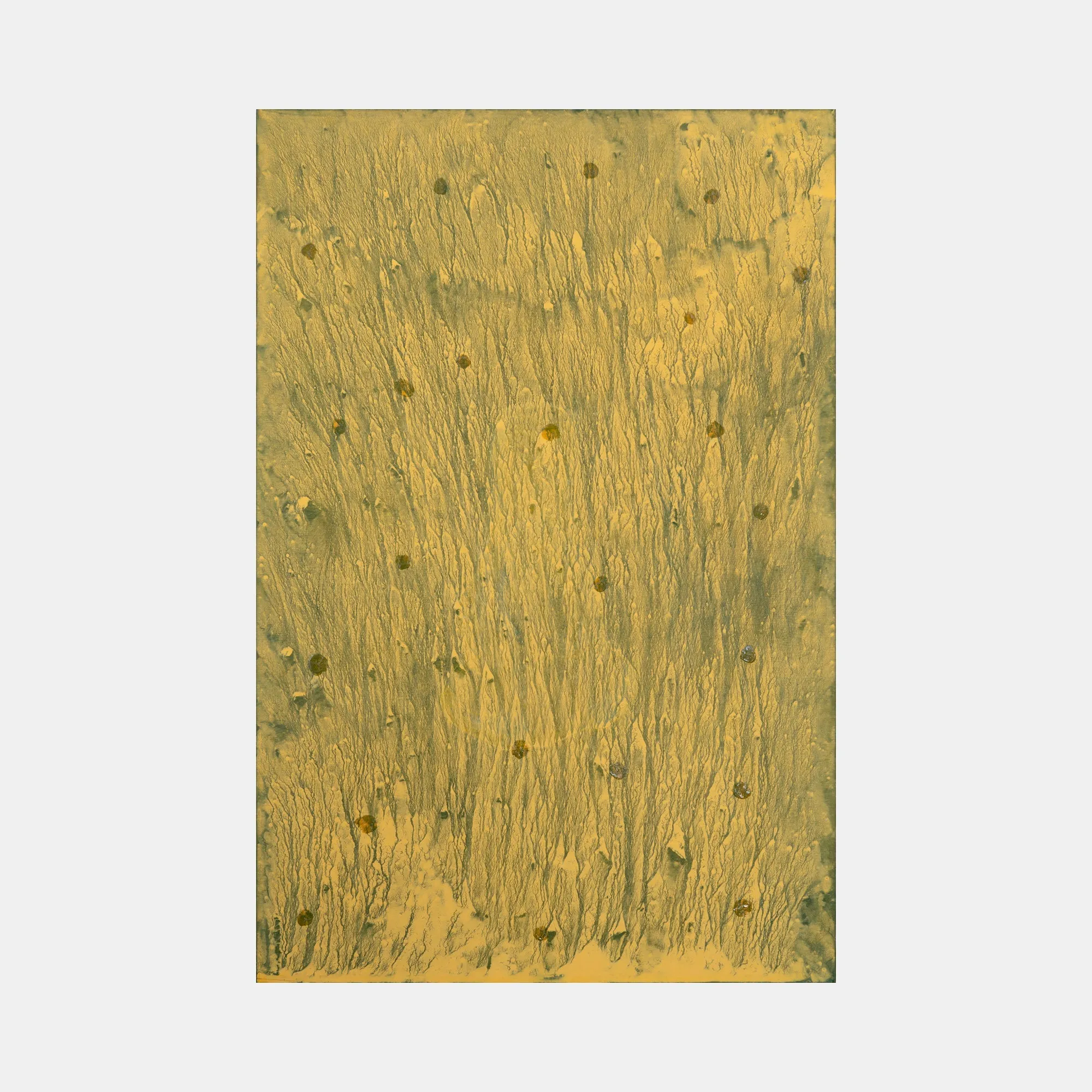 Biophilia 34