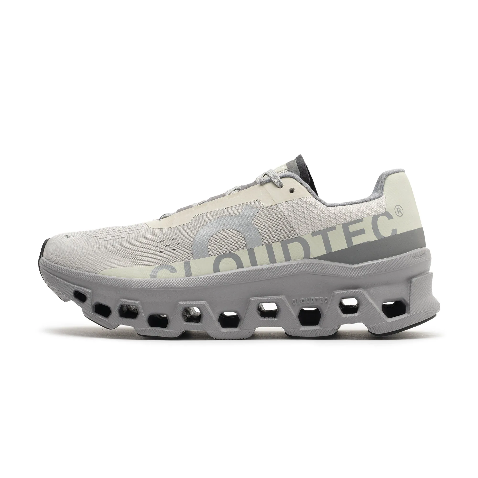 Cloudmonster Ice Alloy 61.97788