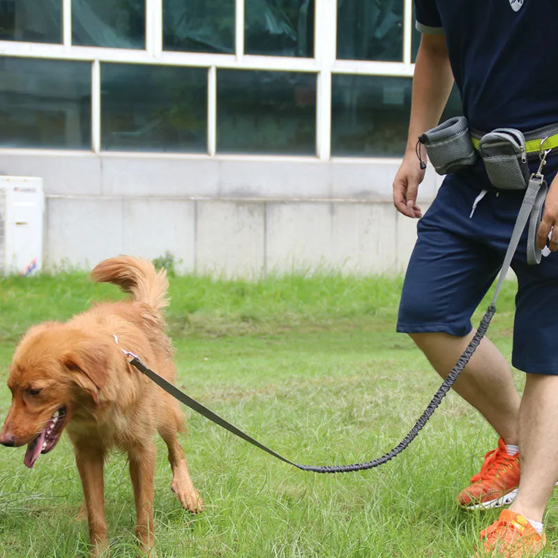 Dog Reflective Running Belt with Leash