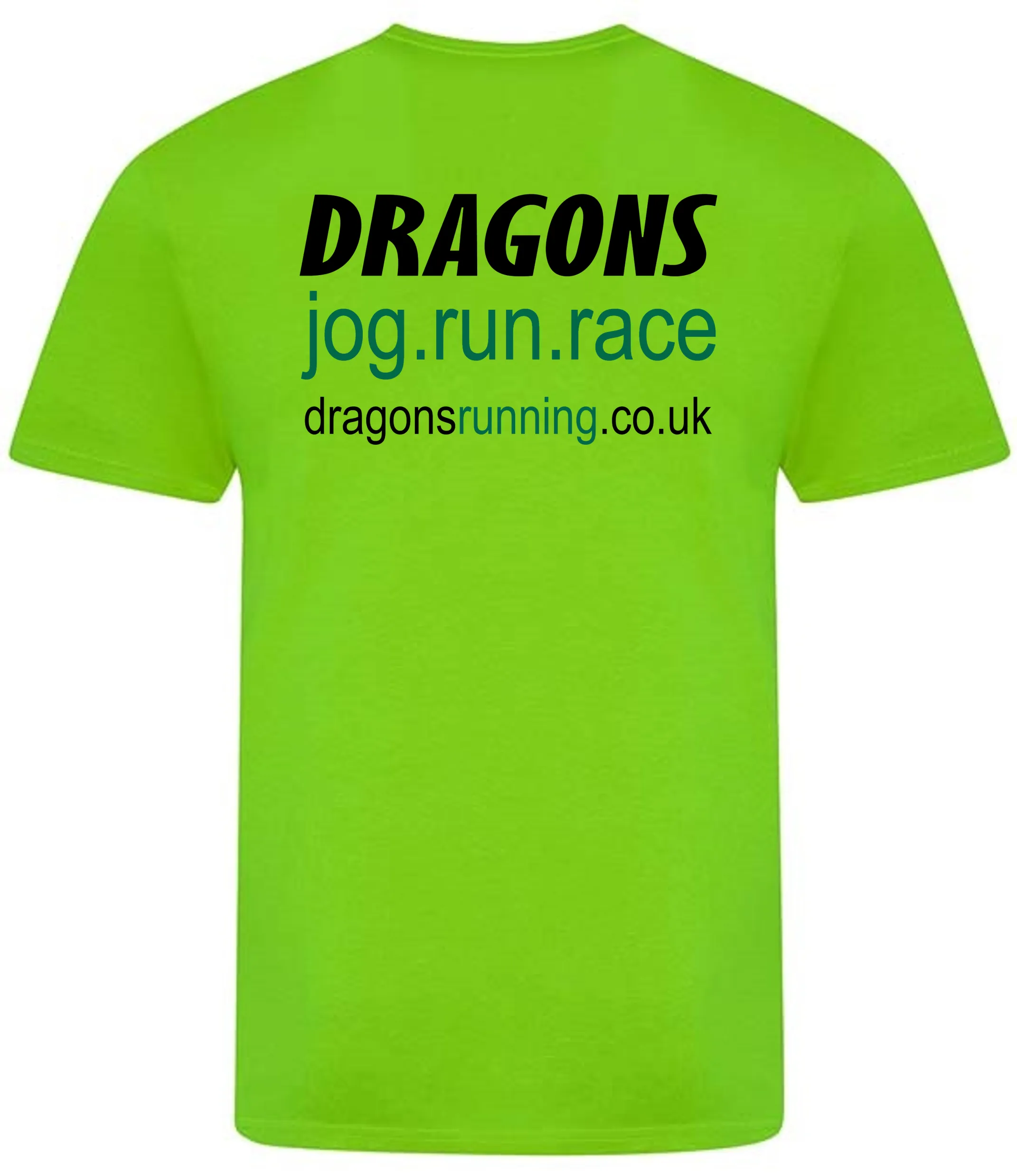 Dragons Womens T-Shirt