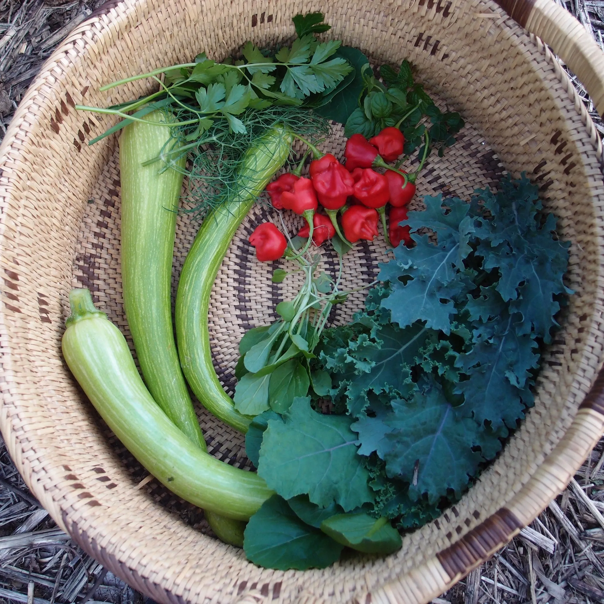 eBook Bundle - Small Farm Essentials