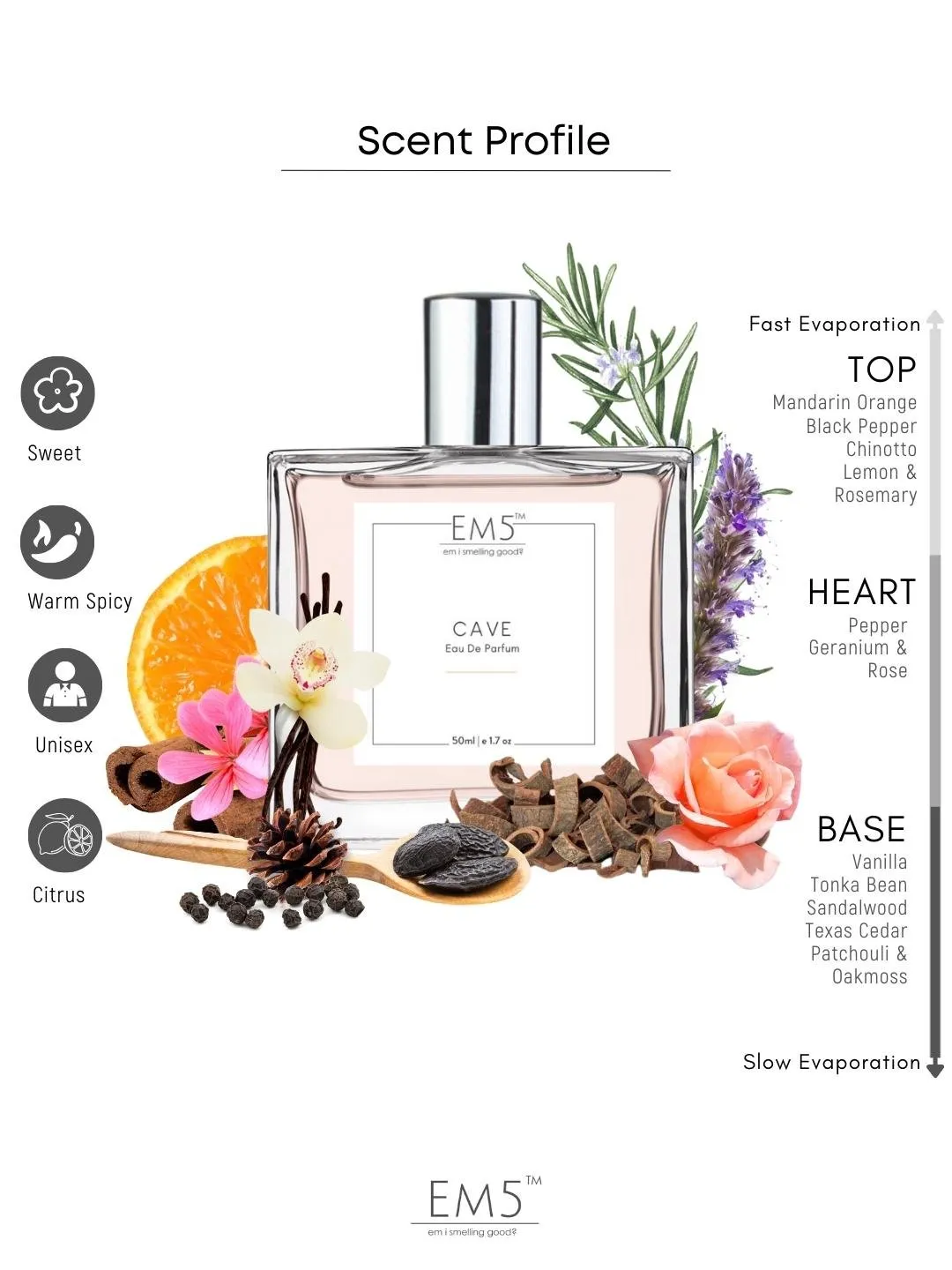 EM5™ Cave Perfume for Men | Woody Spicy Vanilla Fragrance Accords | Luxury Gift for Him | 50 ml