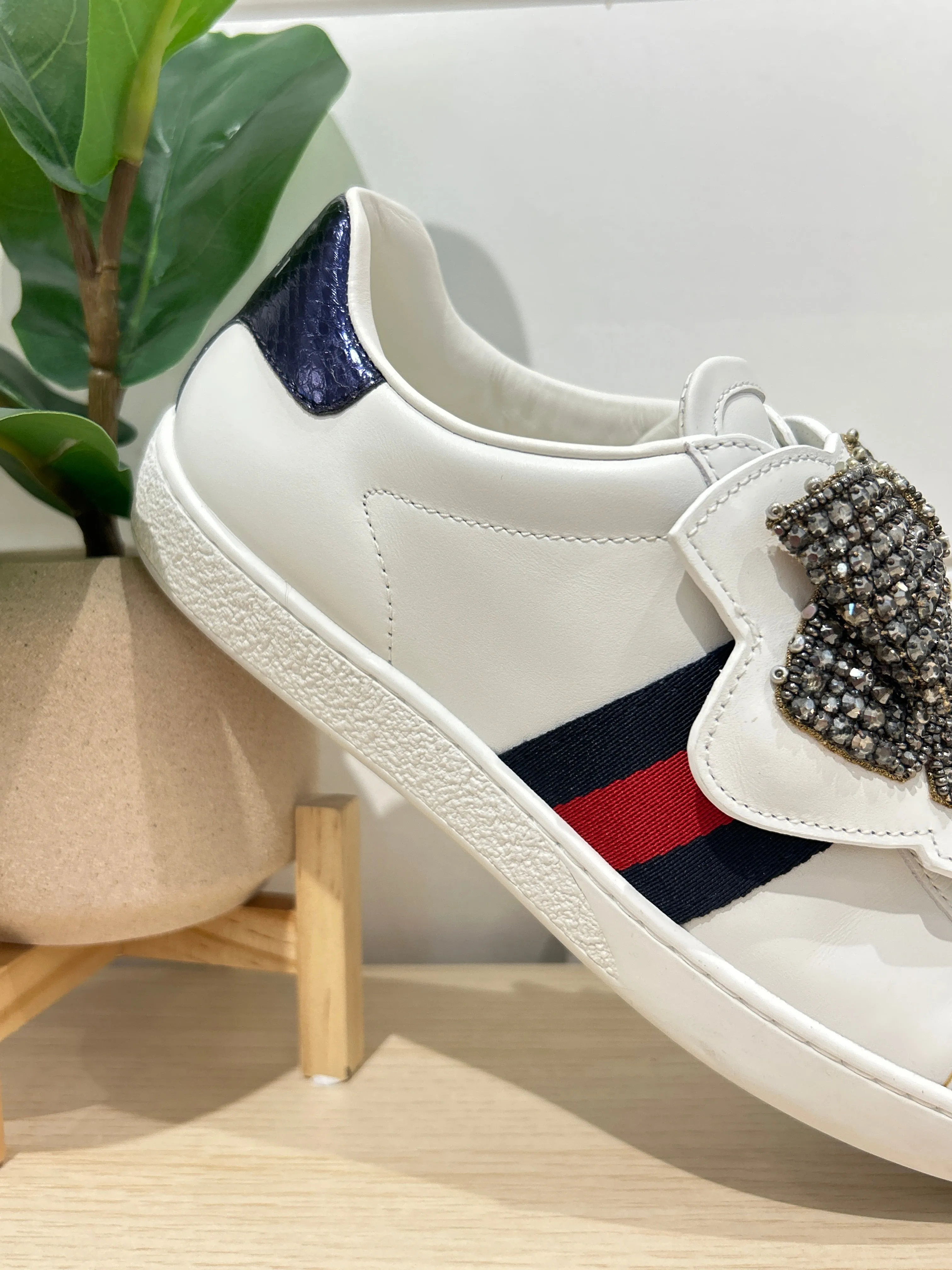 Gucci Shoes, White Calfskin Ayers Web Ace Bow Lace Sneakers (size 35.5)