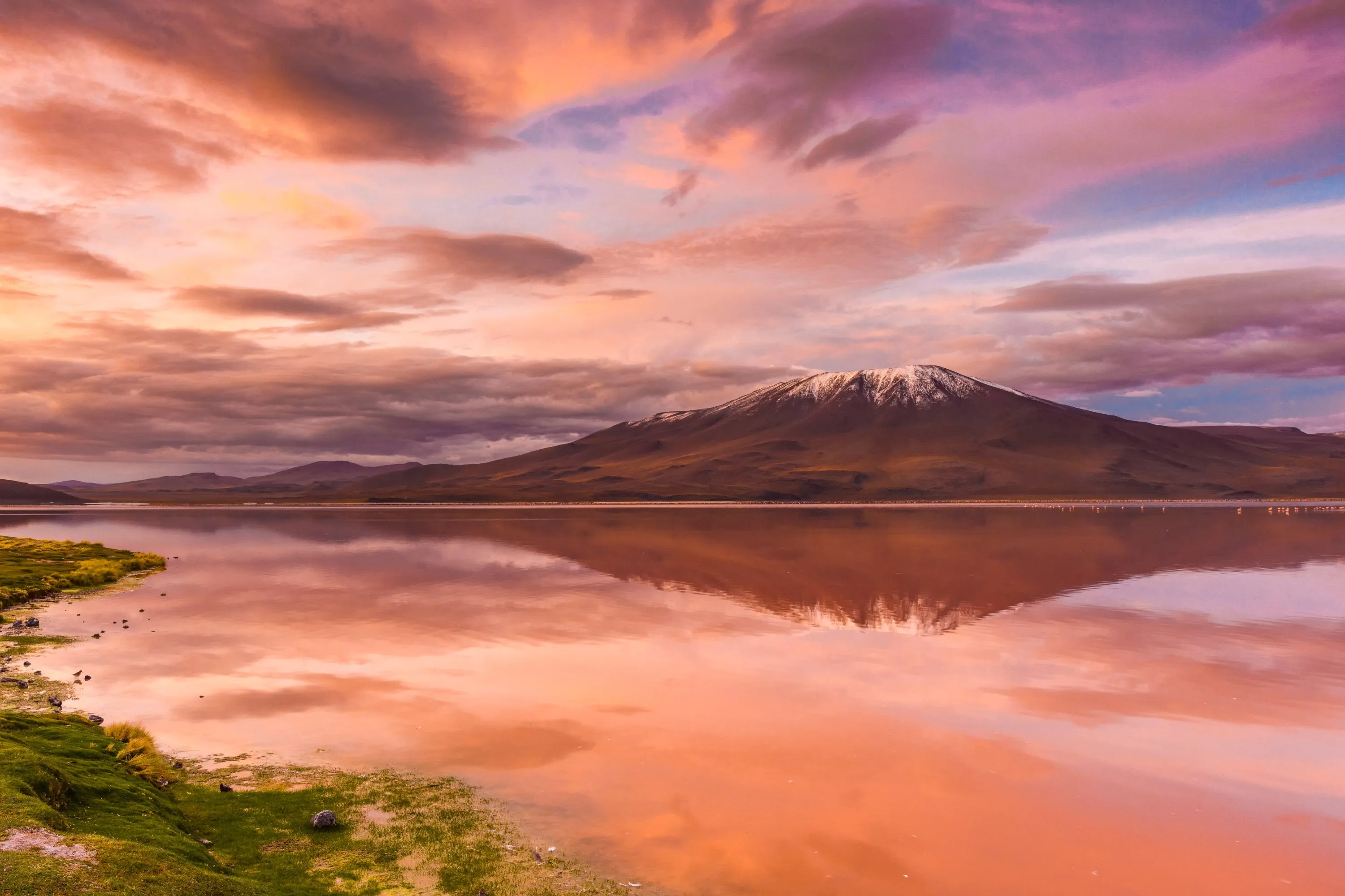 Laguna Colorada
