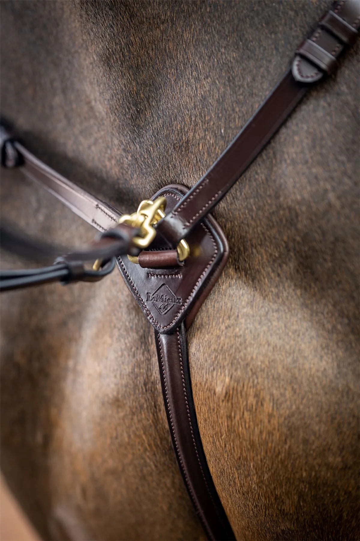 LeMieux Breastplate (D-Ring Attachment)