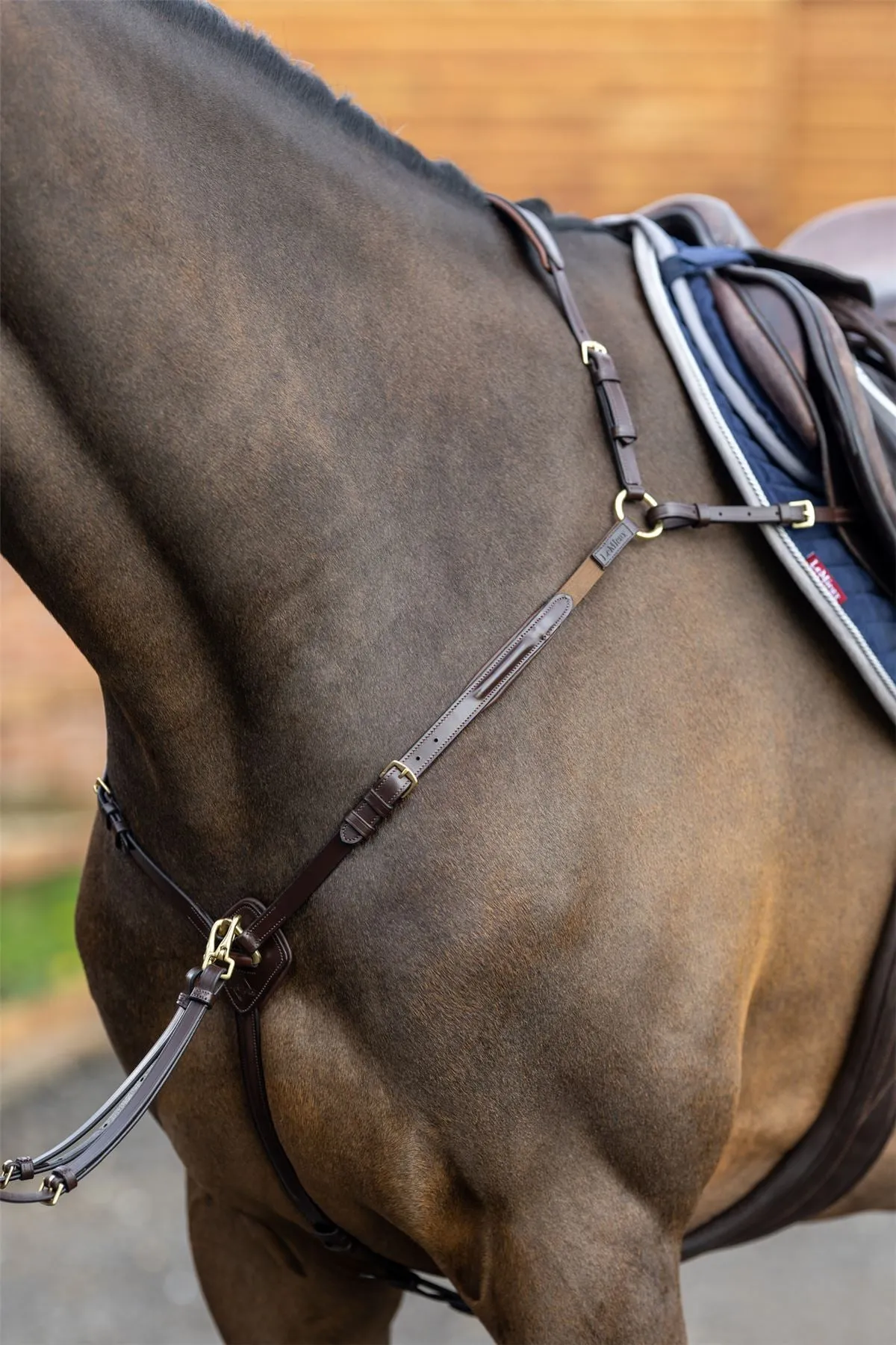 LeMieux Breastplate (D-Ring Attachment)