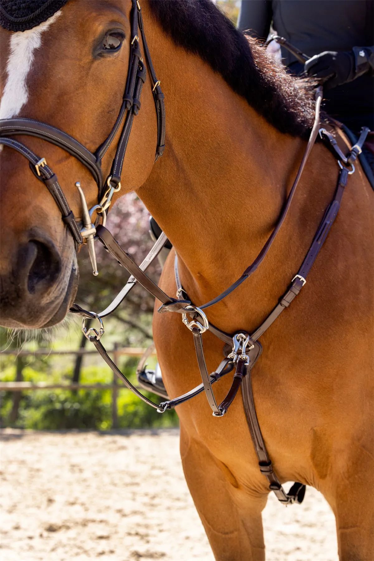 LeMieux Breastplate (D-Ring Attachment)