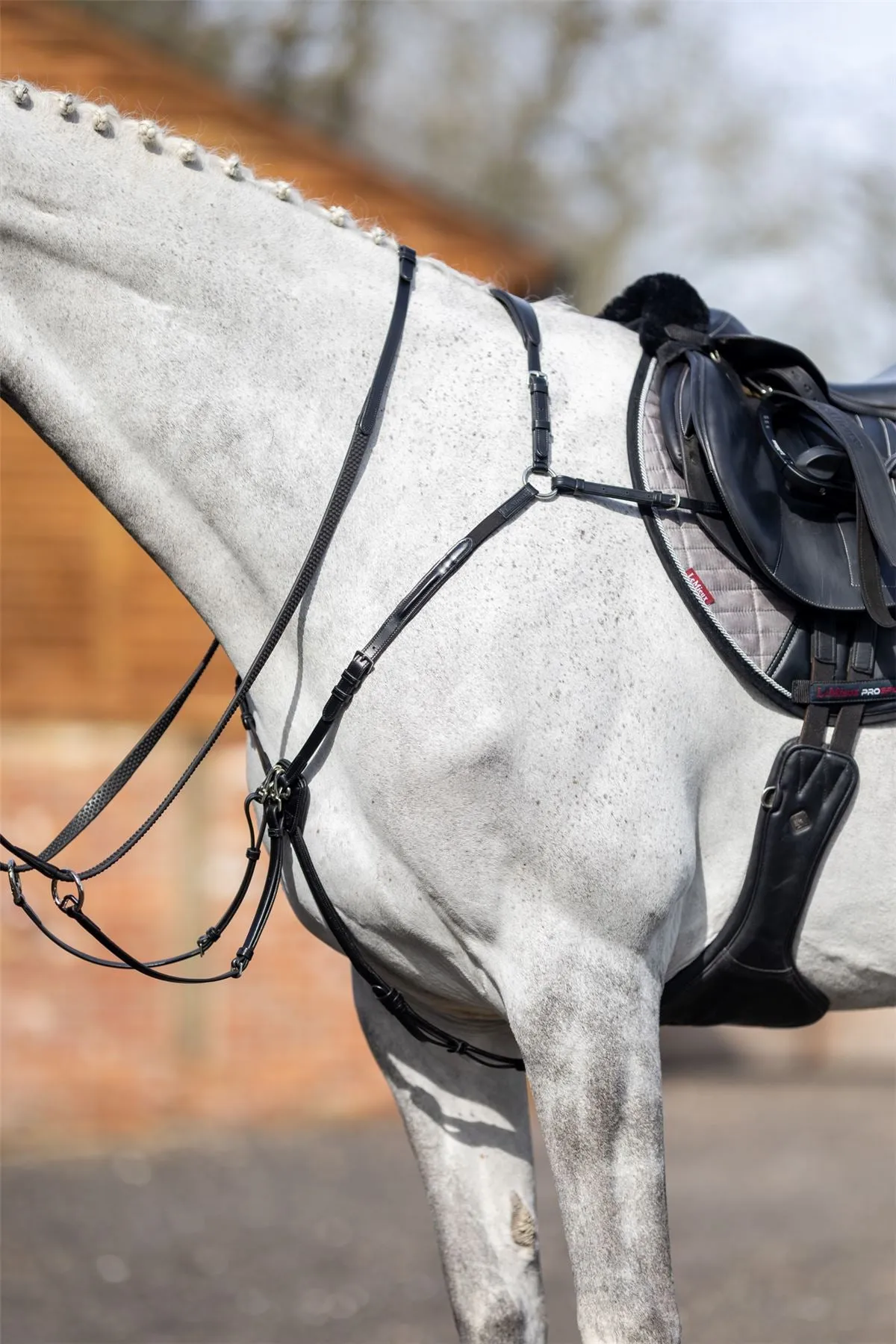 LeMieux Breastplate (D-Ring Attachment)