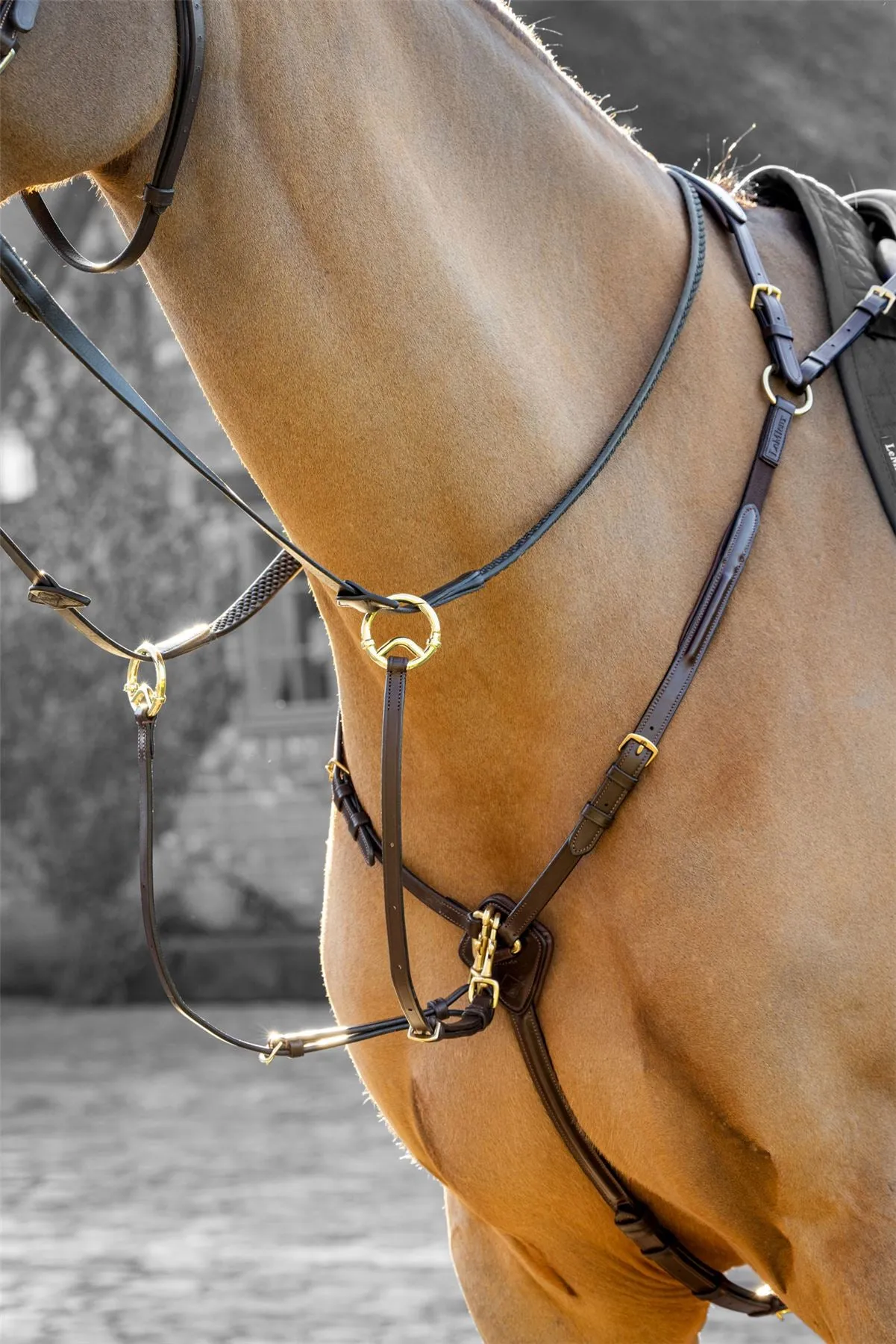 LeMieux Breastplate (D-Ring Attachment)