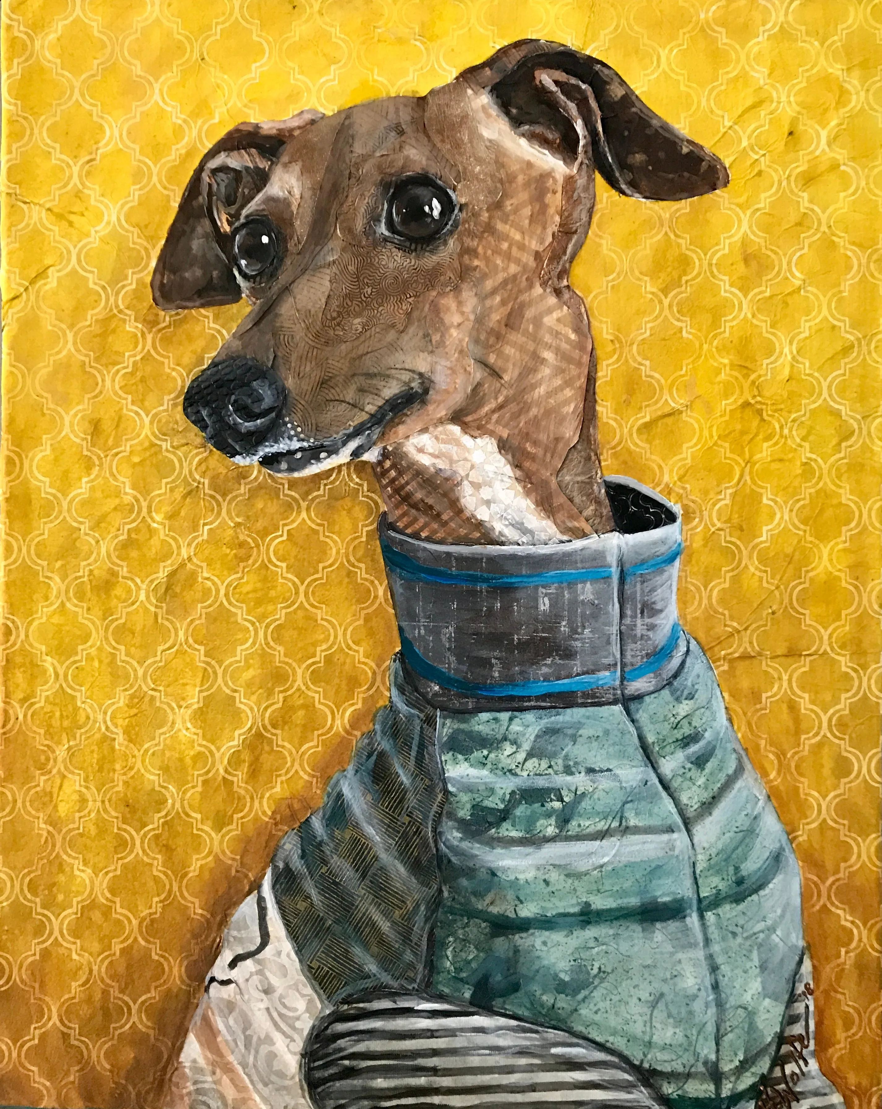Moose - Italian Greyhound