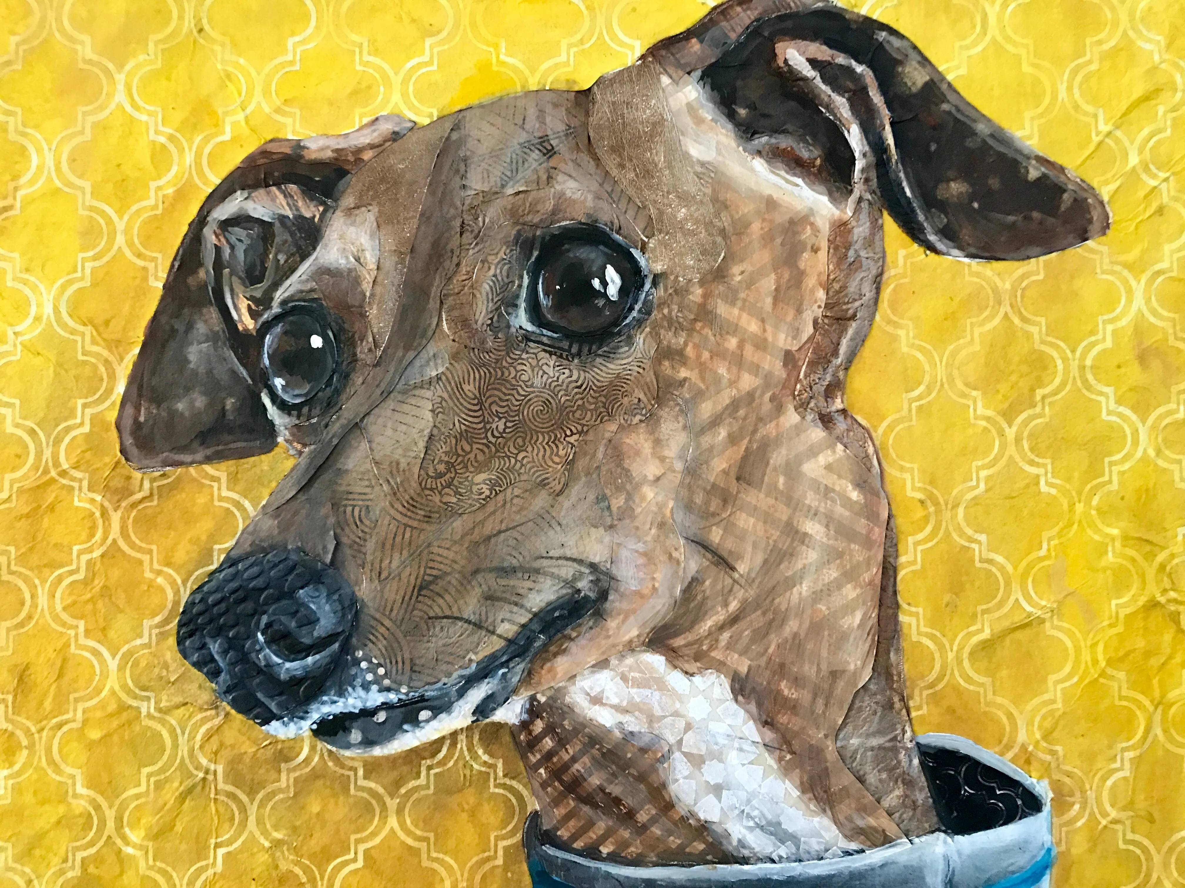 Moose - Italian Greyhound