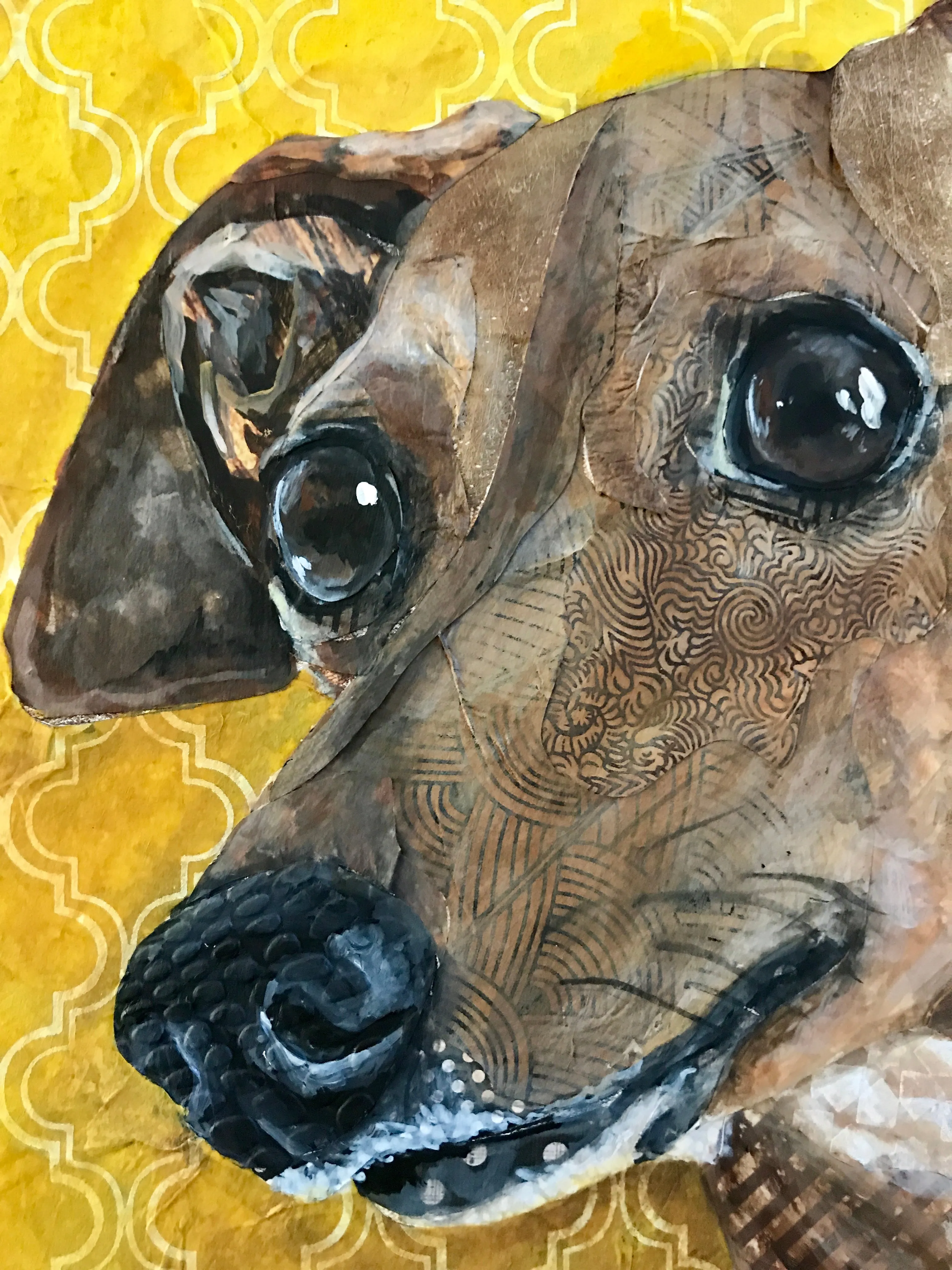 Moose - Italian Greyhound