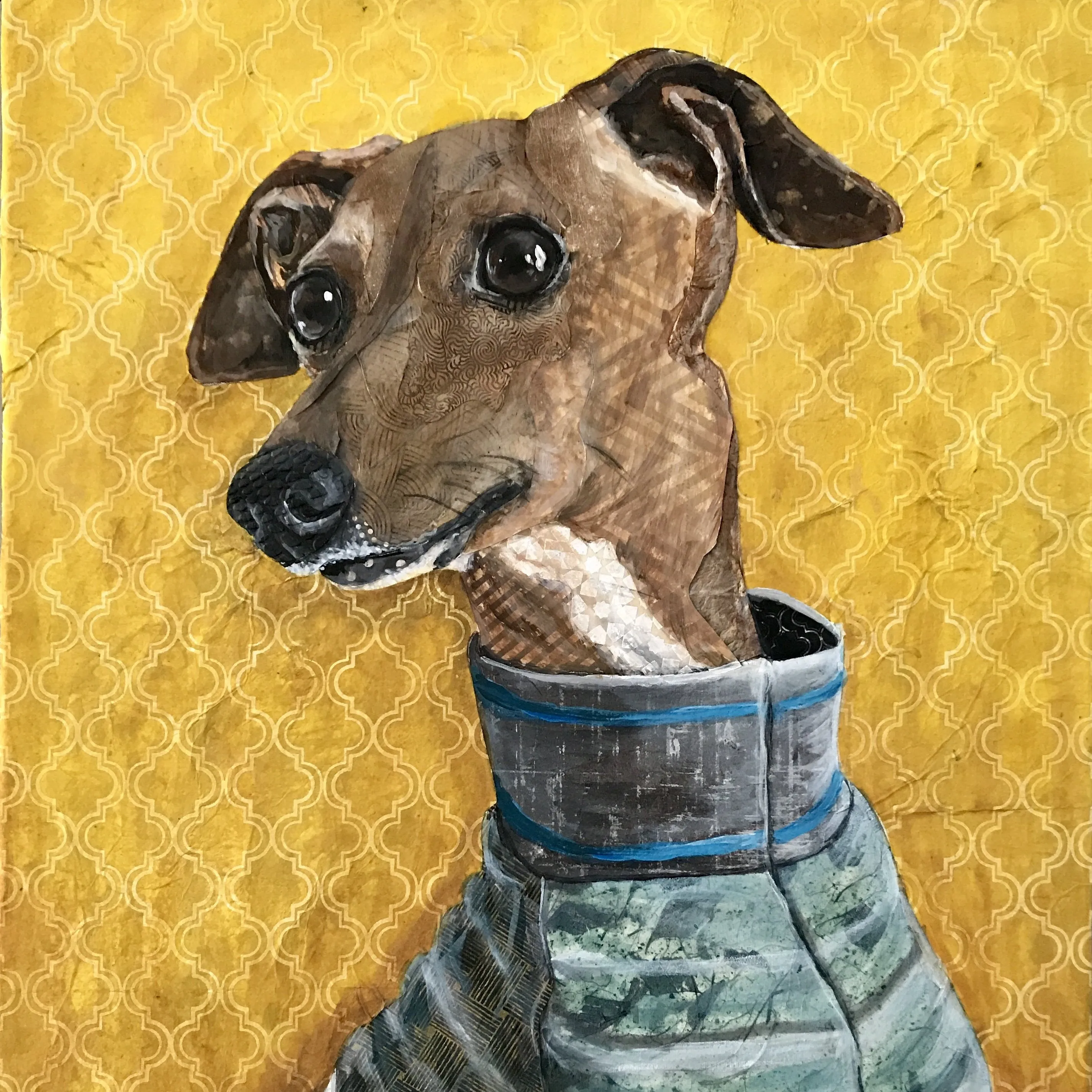Moose - Italian Greyhound