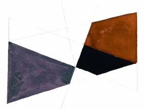Plum Geometry