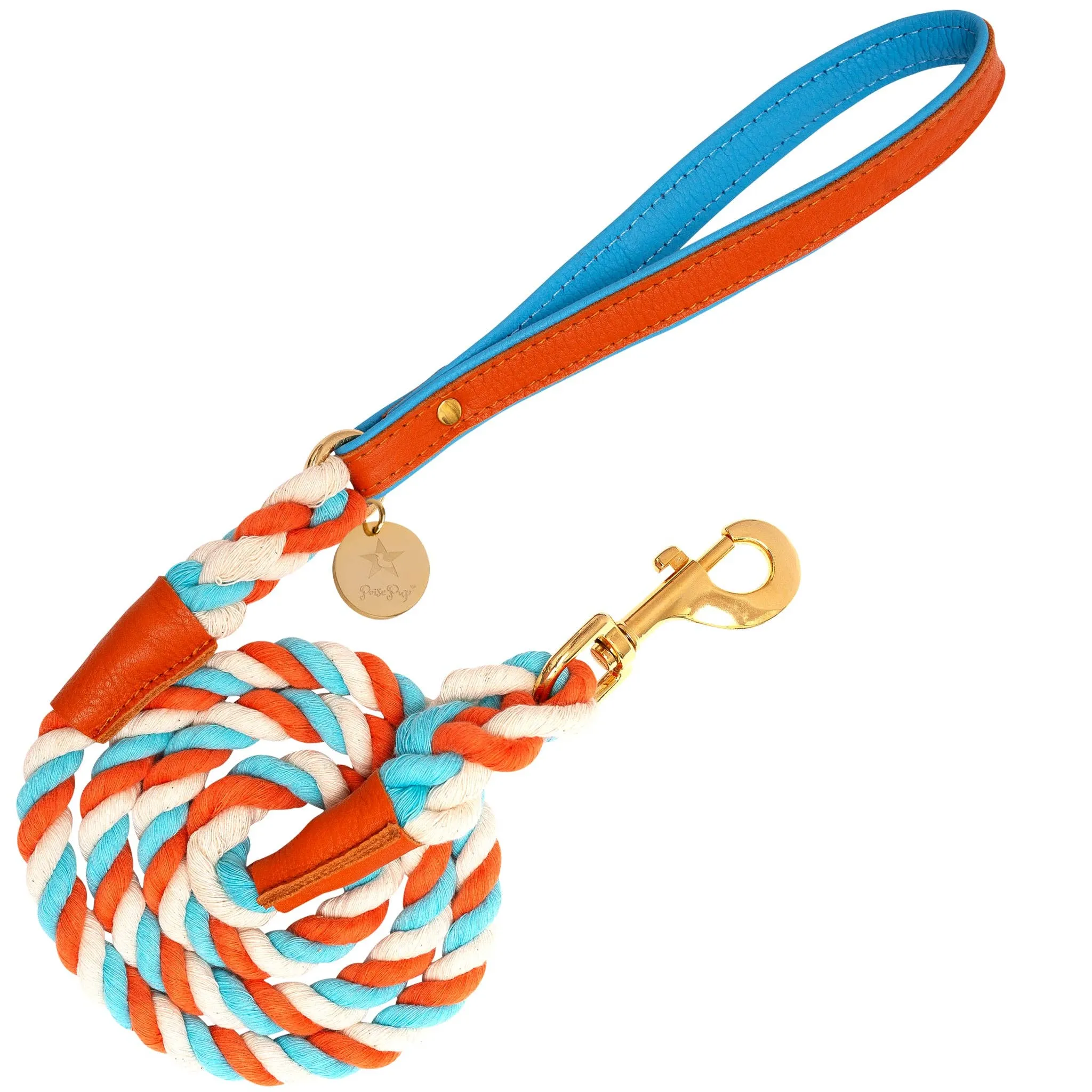 PoisePup - LEASH - VIBRANT SUNSET