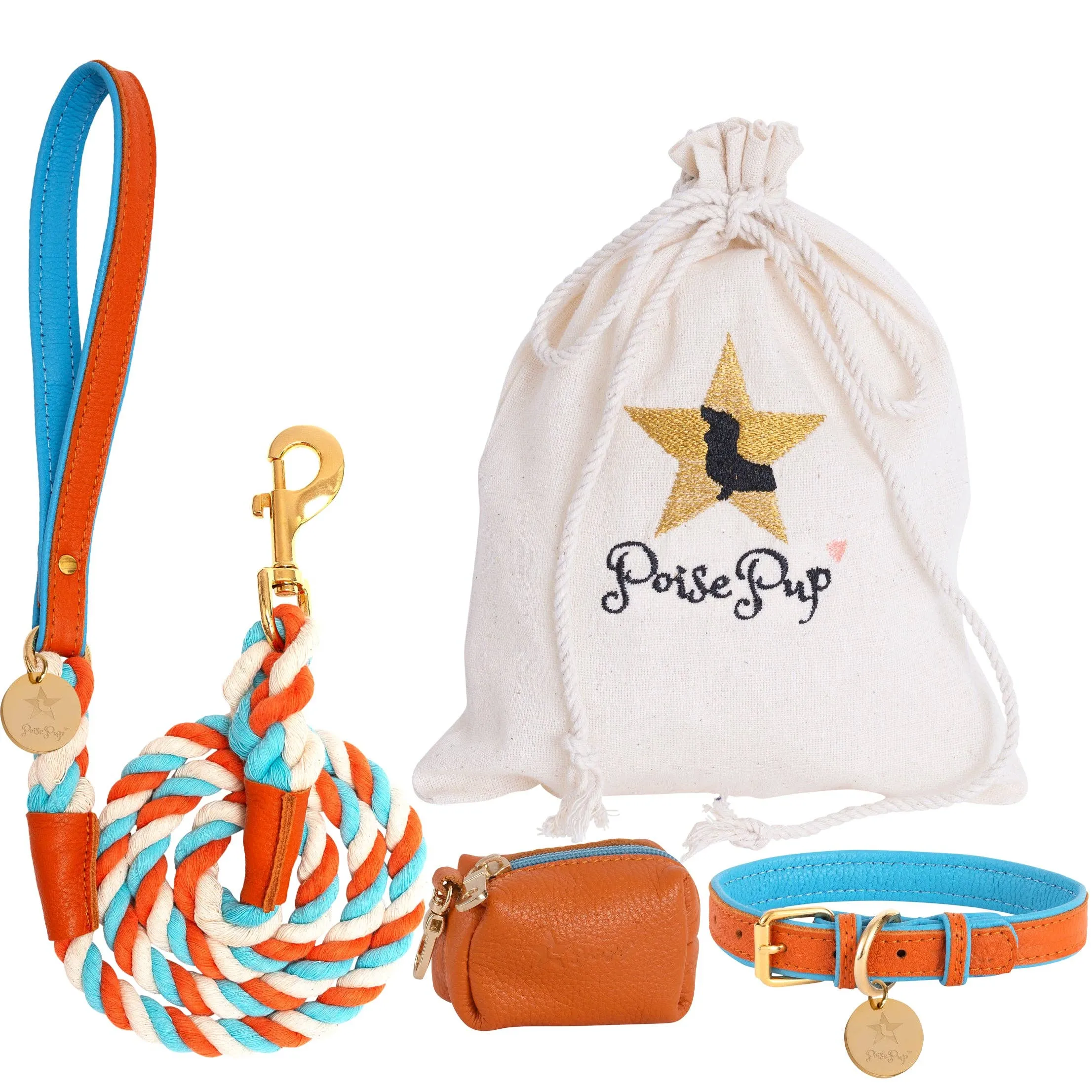 PoisePup - LEASH - VIBRANT SUNSET