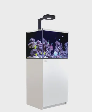 Red Sea Reefer G2 170 Deluxe System - White (Includes RL90 & Mounting Arms)