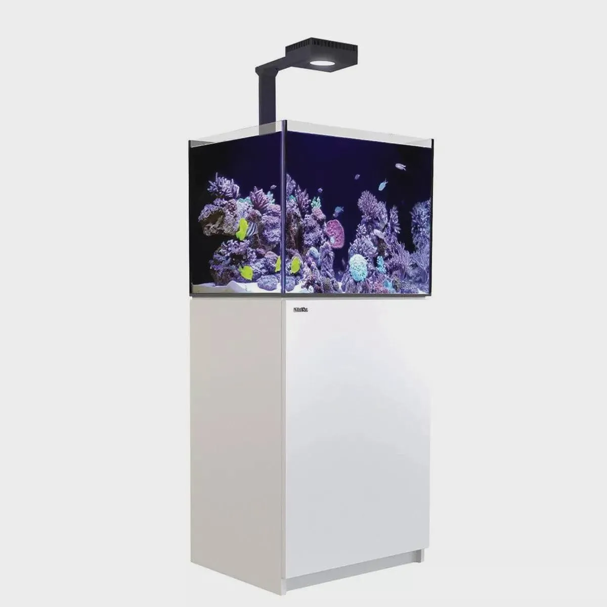 Red Sea Reefer G2  Max 170 - White