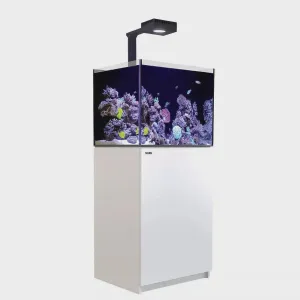 Red Sea Reefer G2  Max 170 - White