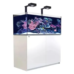 Red Sea Reefer G2  Max 425 - White