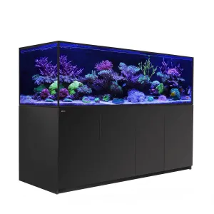 Red Sea Reefer S-1000 G2  - Black