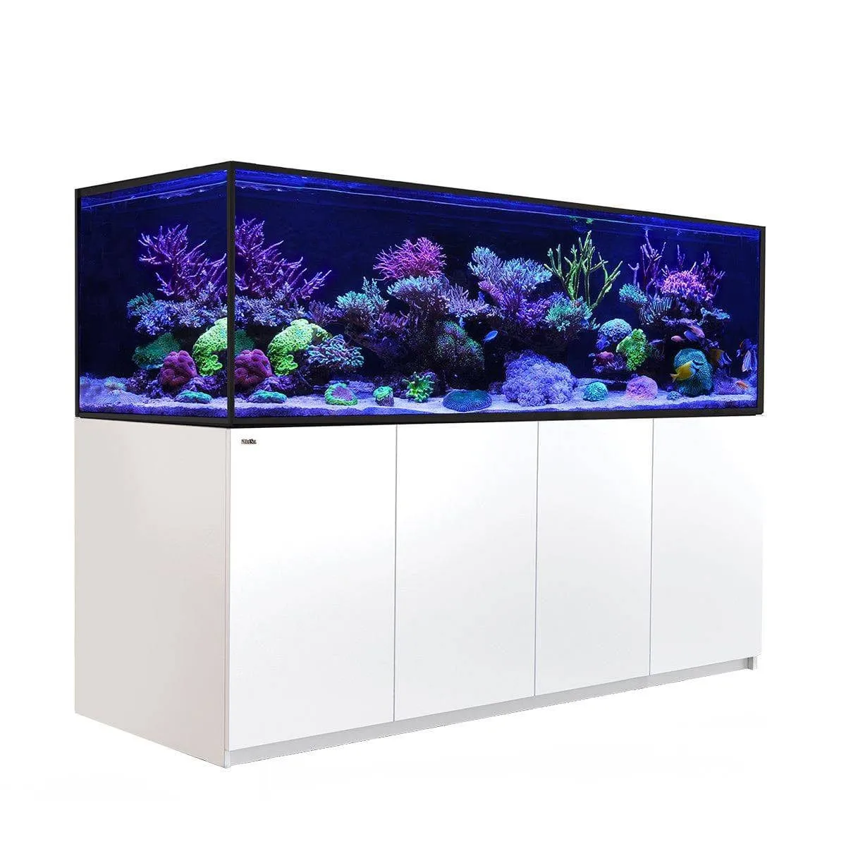 Red Sea Reefer S-1000 G2   White