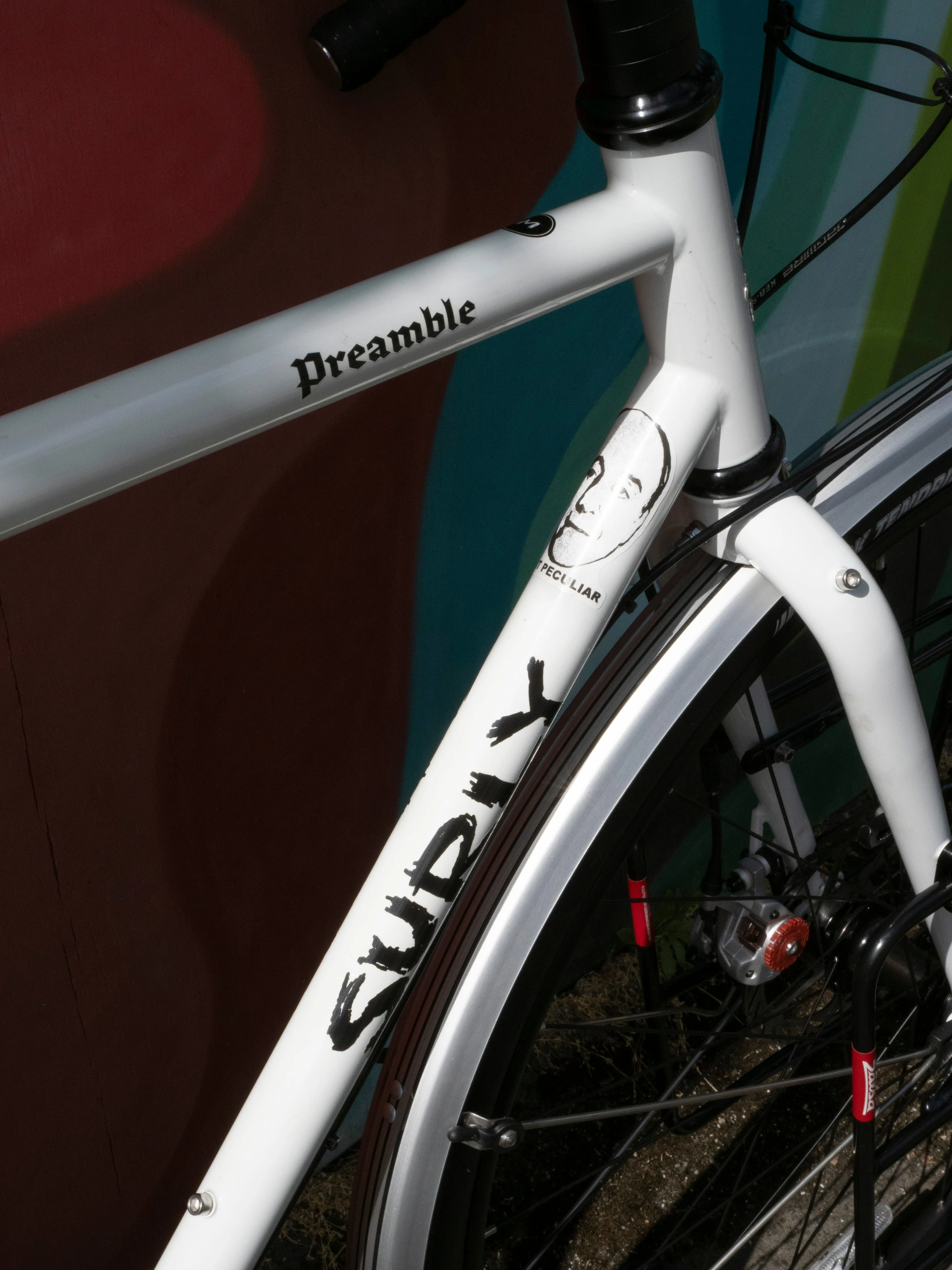 Surly Preamble Drop Bar Bike, Thorfrost White, Medium - Test ride bike