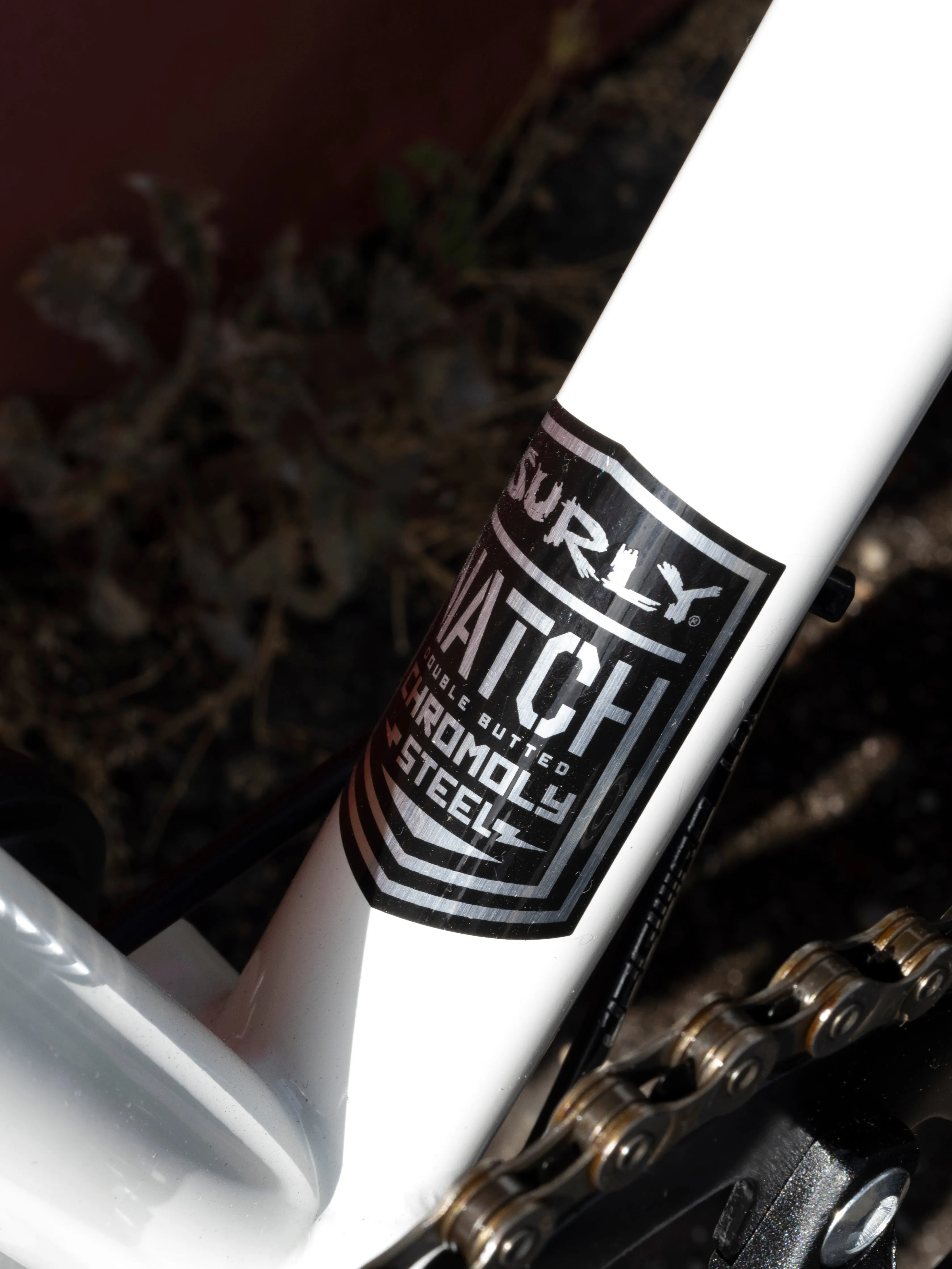 Surly Preamble Drop Bar Bike, Thorfrost White, Medium - Test ride bike