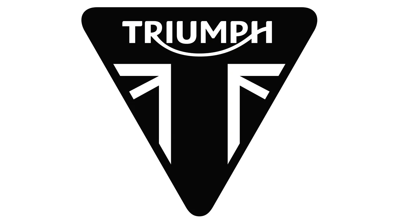 Triumph Chain Rubbing Strip (Part Number: T2057365)