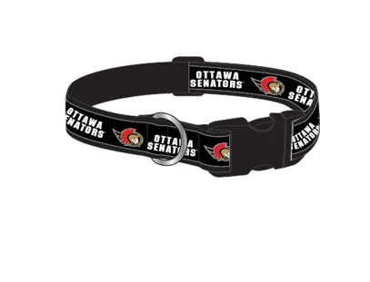 Woven Pet Collar